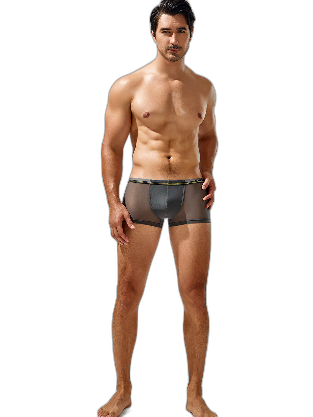 Men's Sexy Low-rise Mesh Trunks