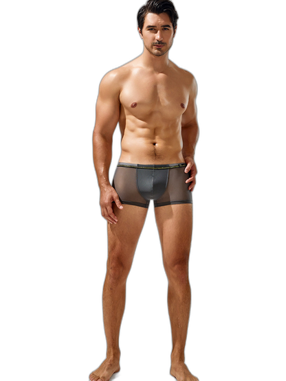 Men's Sexy Low-rise Mesh Trunks
