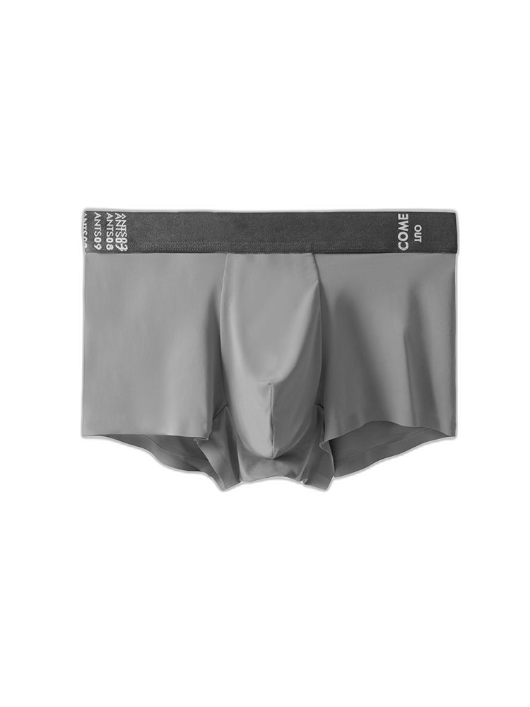 2 Pack Men's Premium Ultra-Thin Seamless Ice Silk Stretch Fit Trunks