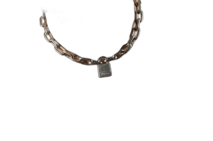 ruff GEAR Pitbull Chain 4mm with 20mm Master Lock