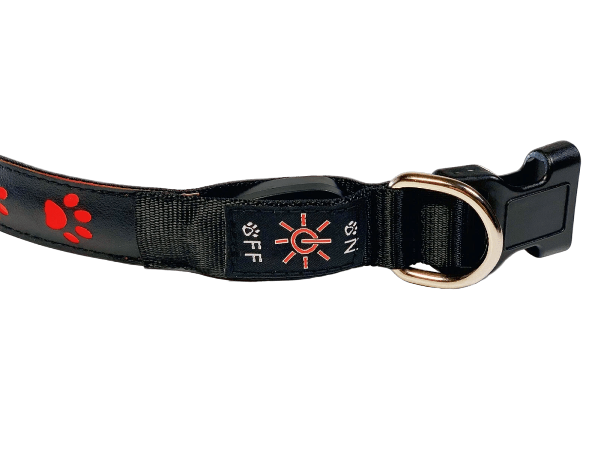 Paw Print Glow Collar