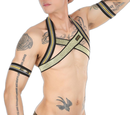 Gold Glitter Harness