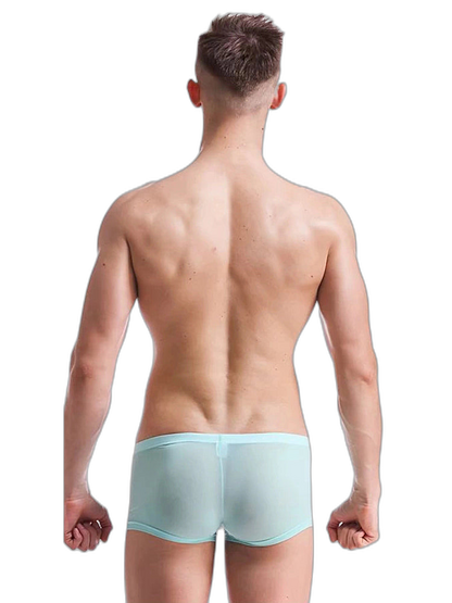 Thin Breathable Ice Silk U Convex Boxers for Men