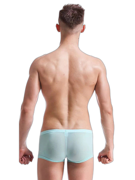 Thin Breathable Ice Silk U Convex Boxers for Men