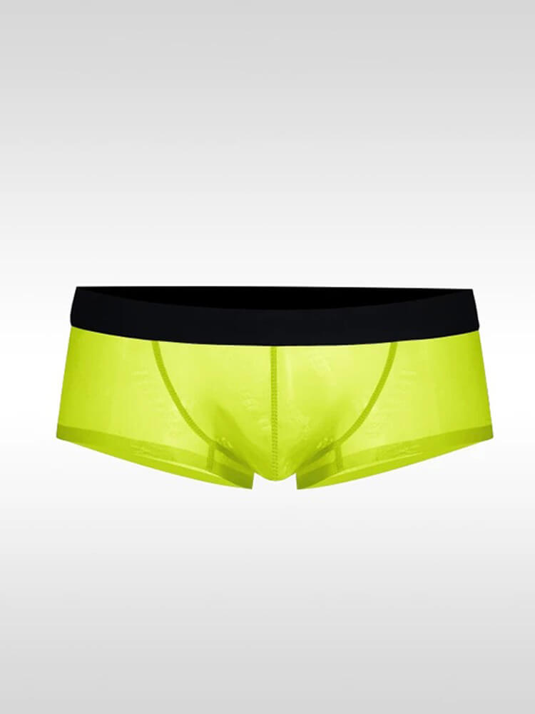 Men's Ultra-Thin Sexy Sheer High-Cut Underwear