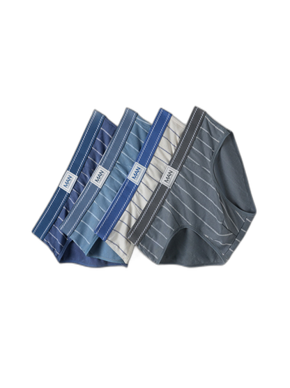 3 Pack Men’s Classic Striped Briefs