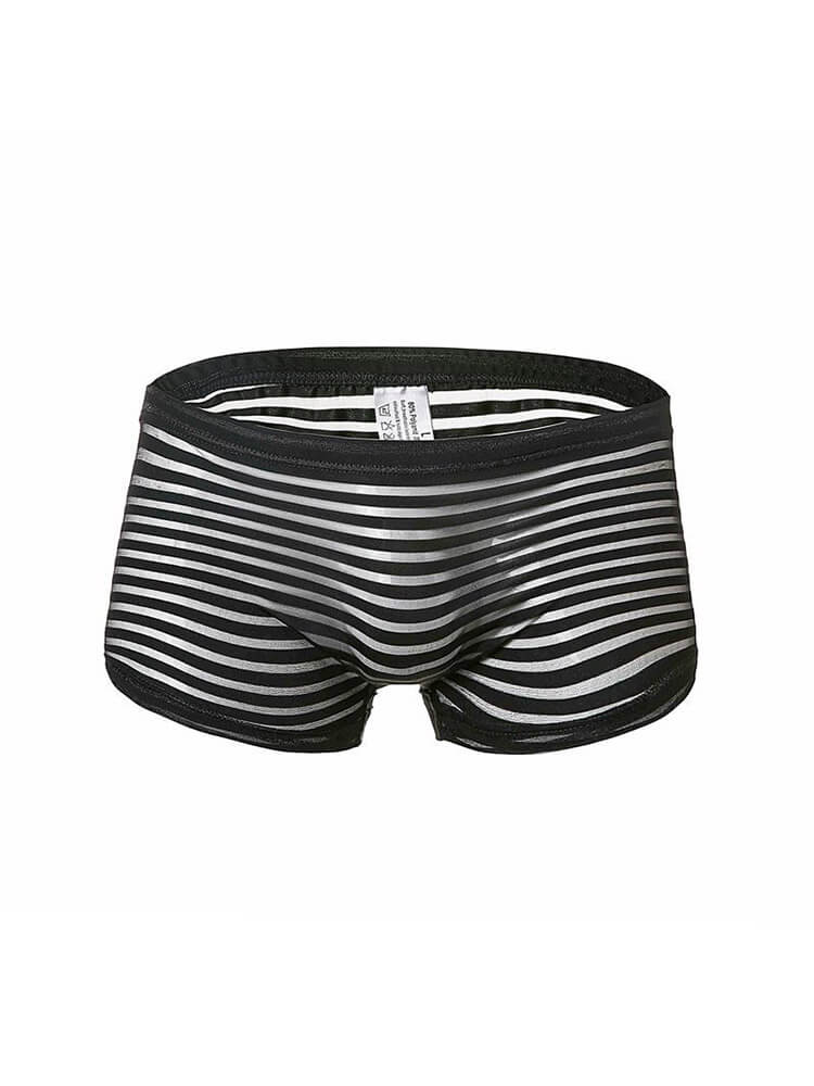 Men's Striped Mesh See-Through Boxer Briefs