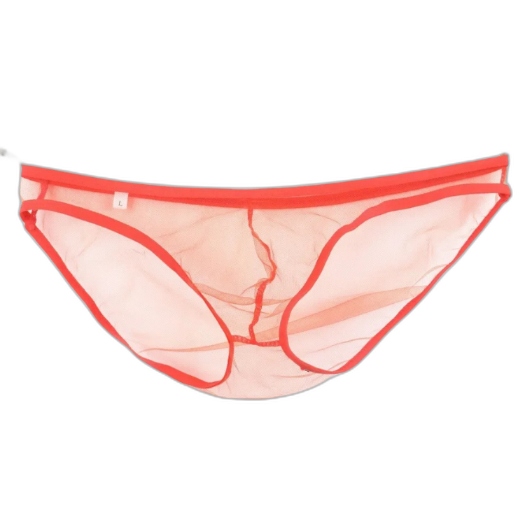 Caught In The Act Men's Mesh Briefs