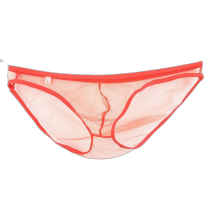 Caught In The Act Men's Mesh Briefs