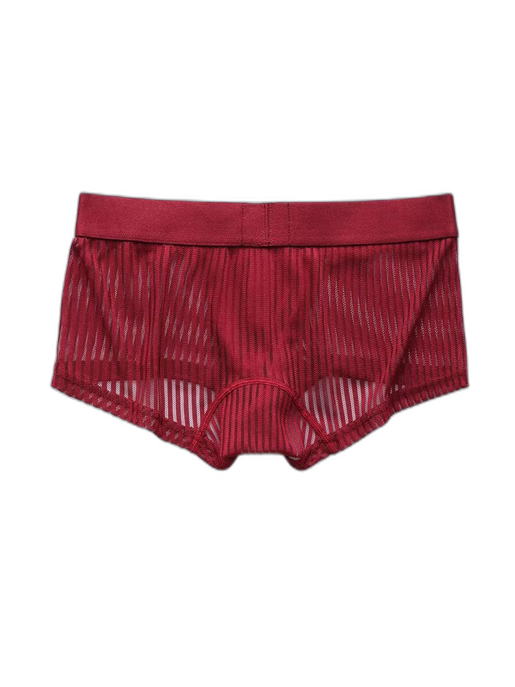 3 Pack Men's Striped Mesh Trunks with Comfort Pouch