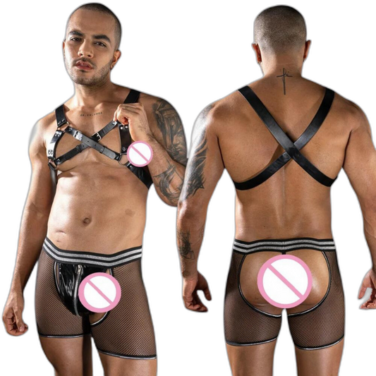 Forbidden Fantasy Harness and Mesh Briefs