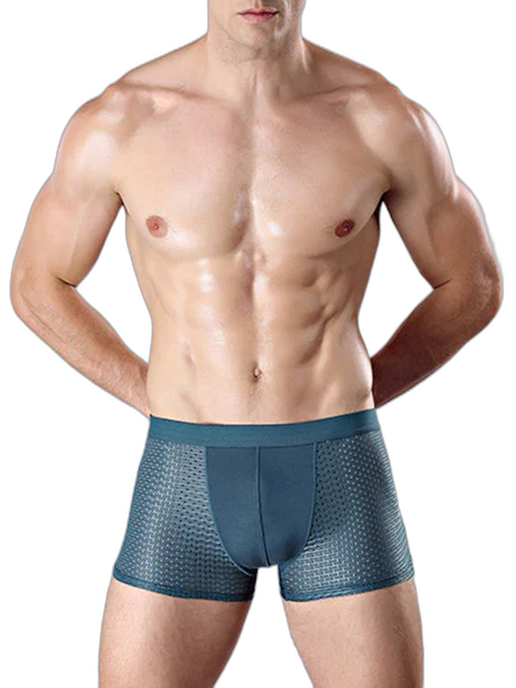 4 Pack Mesh Breathable Ice Silk Underwear Boxer