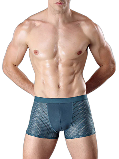 4 Pack Mesh Breathable Ice Silk Underwear Boxer