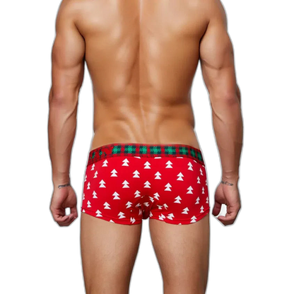 Festive Christmas Tartan Boxer Briefs
