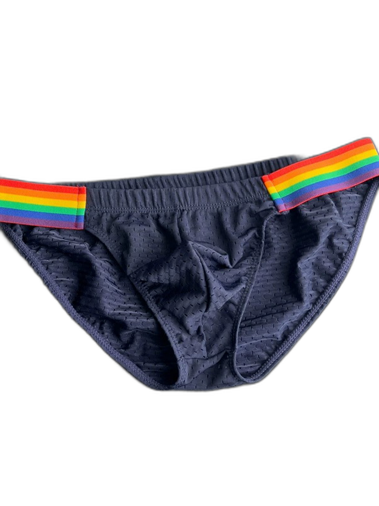 Men's Sexy Rainbow Pride Mesh Bikini