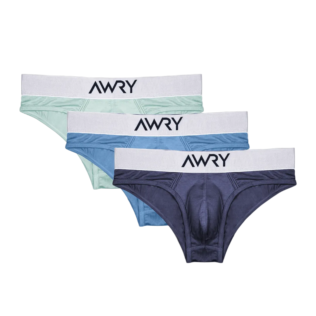 3 Pack POCKET Briefs