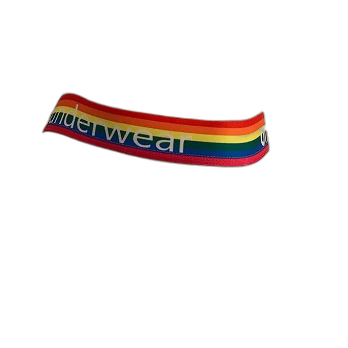 ORLVS Pride Briefs