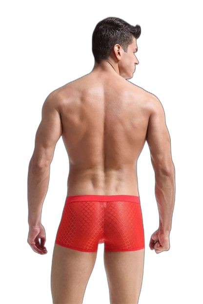 Transparent Mesh Boxers