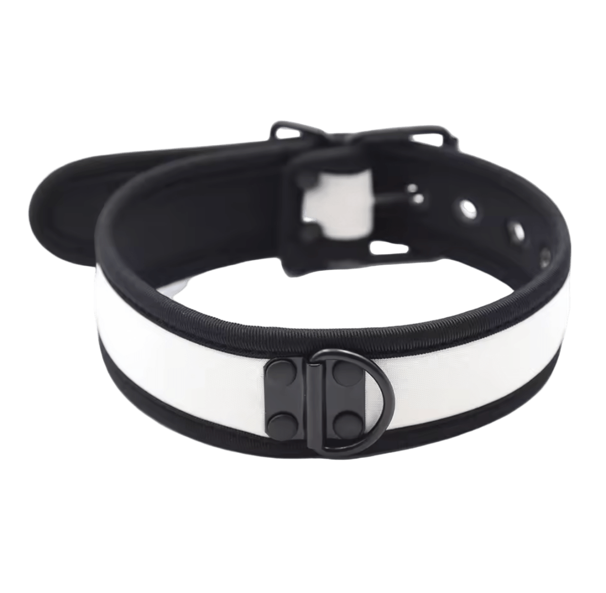 K9 Collar White