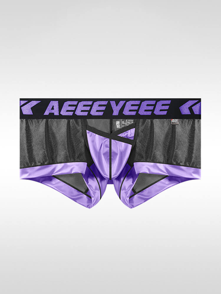  Men's Sexy Breathable Mesh Paneling Boxer Briefs