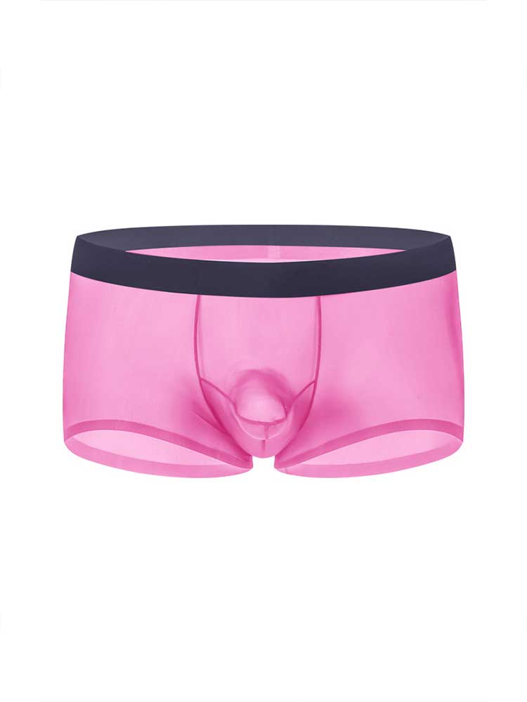 Men's Sexy Seamless Sheer Ice Silk Boxer Briefs