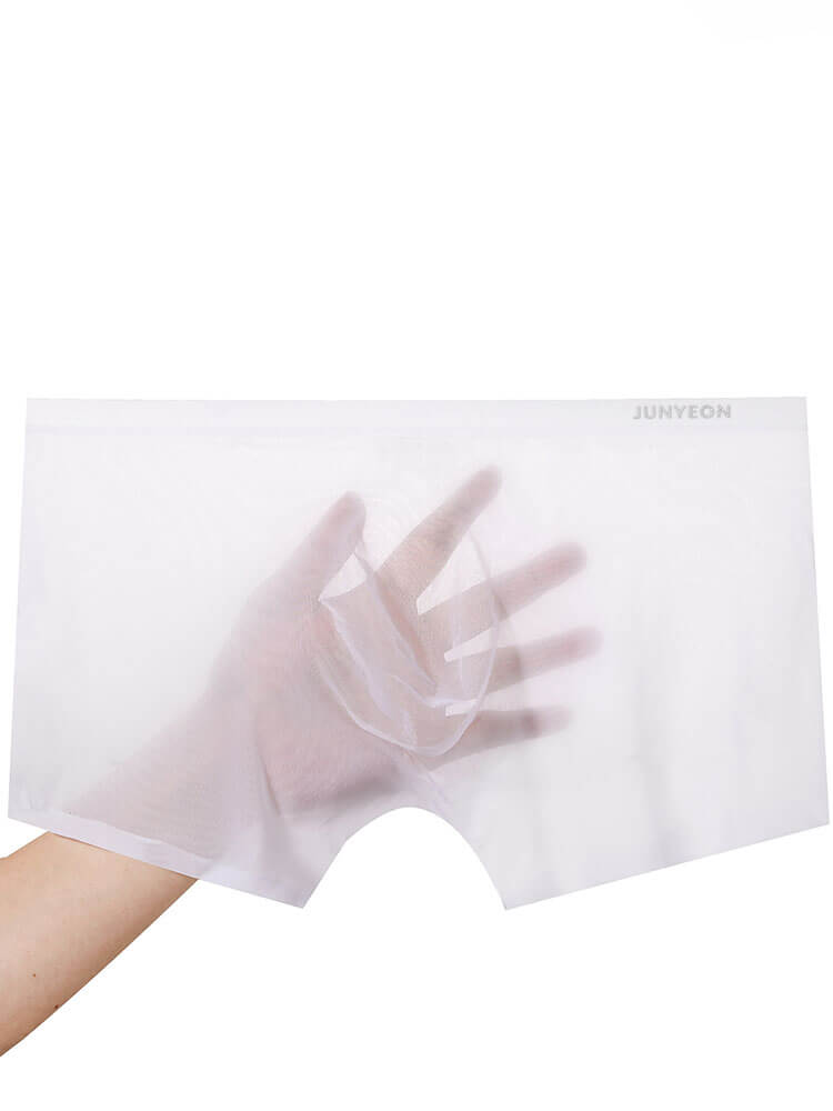 Men's Sexy Sheer Ultra-Thin Ice Silk Boxer Briefs