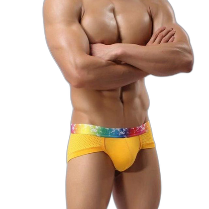 4 Pack Breathable Modal Colored Belt Briefs-rainbow pride underwear