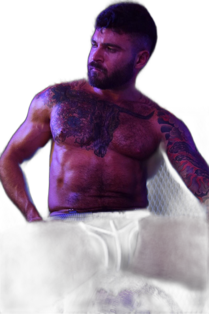 Breedwell Hybred Jock Blue