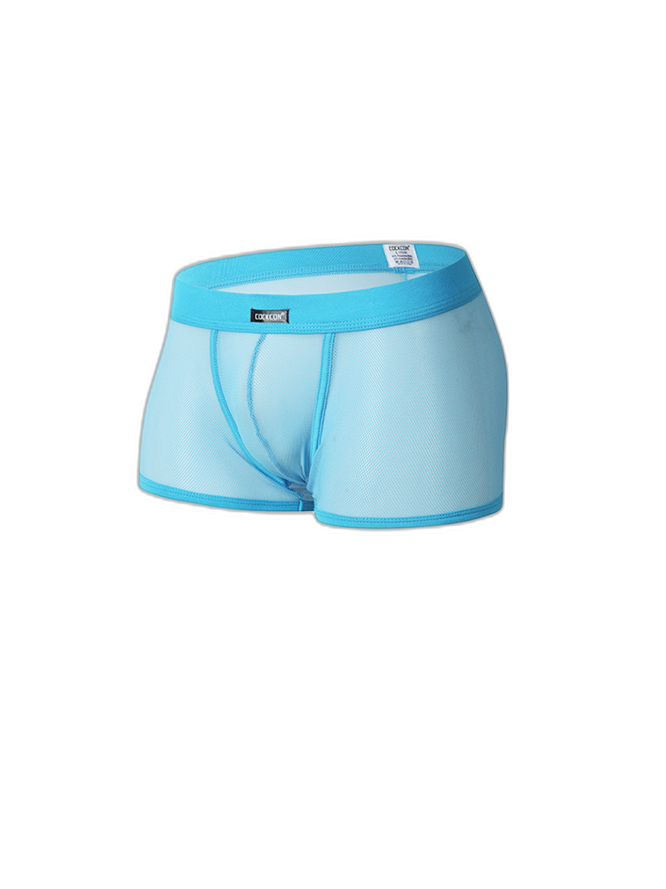 Men's Sexy Transparent Mesh Trunks
