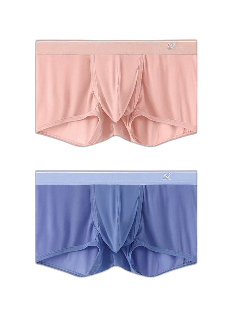 2 Pack Men's Breathable Mesh Trunks with Fly