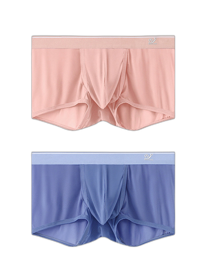 2 Pack Men's Breathable Mesh Trunks with Fly