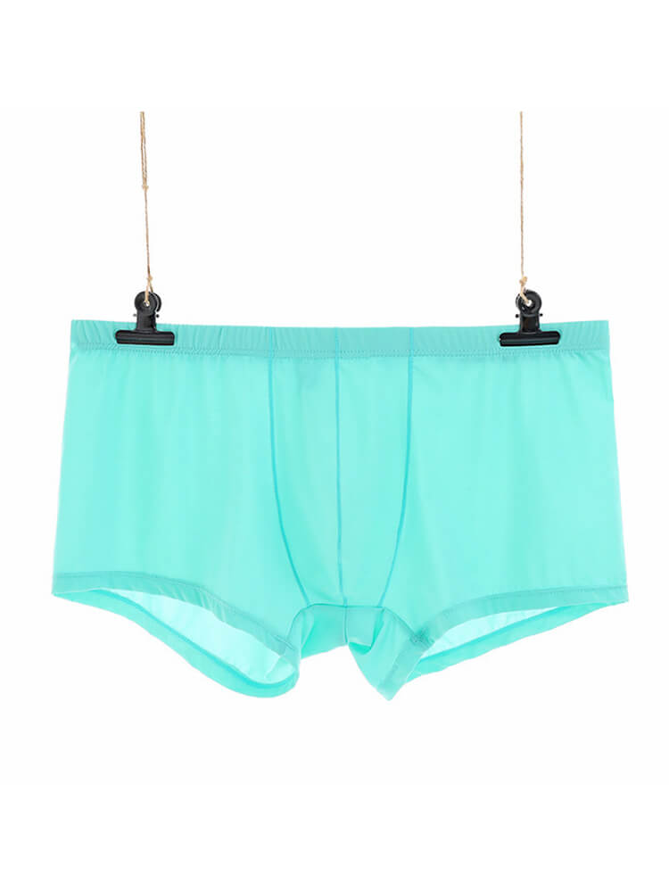 Men's Sexy Low-Rise Thin Transparent Boxer Briefs