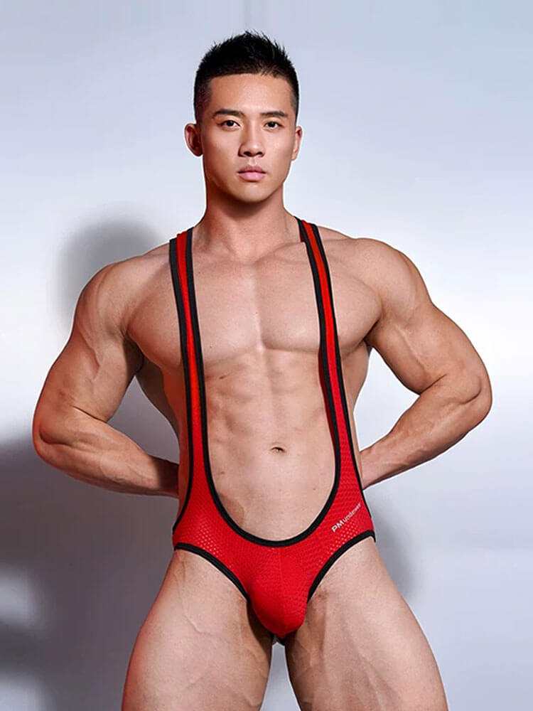Men's Sexy High-Stretch U-Pouch Mesh Bodysuit