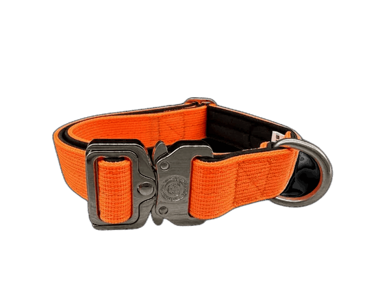 2.5cm Tactical™ Collar Orange
