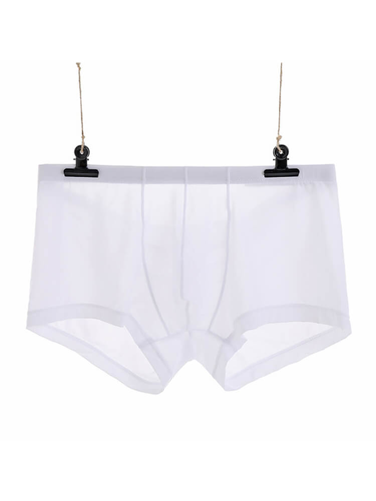 Men's Sexy Low-Rise Thin Transparent Boxer Briefs
