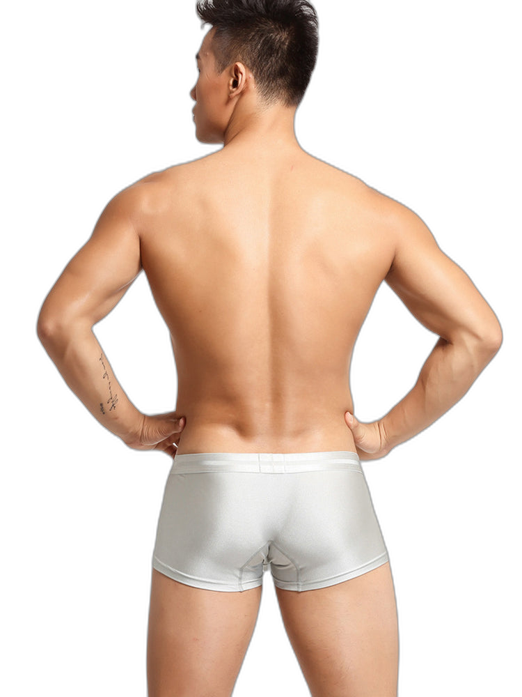 2 Pack Men’s Lustrous Metallic Trunks