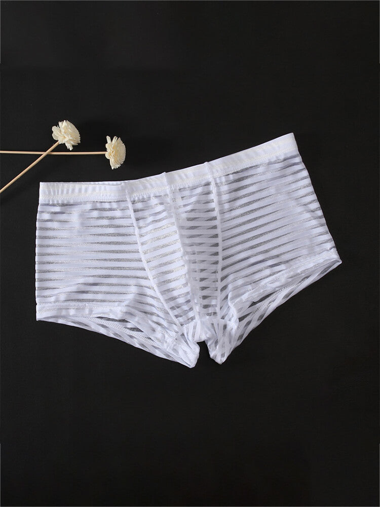 Men's Sexy Mesh Transparent Striped Boxer Briefs