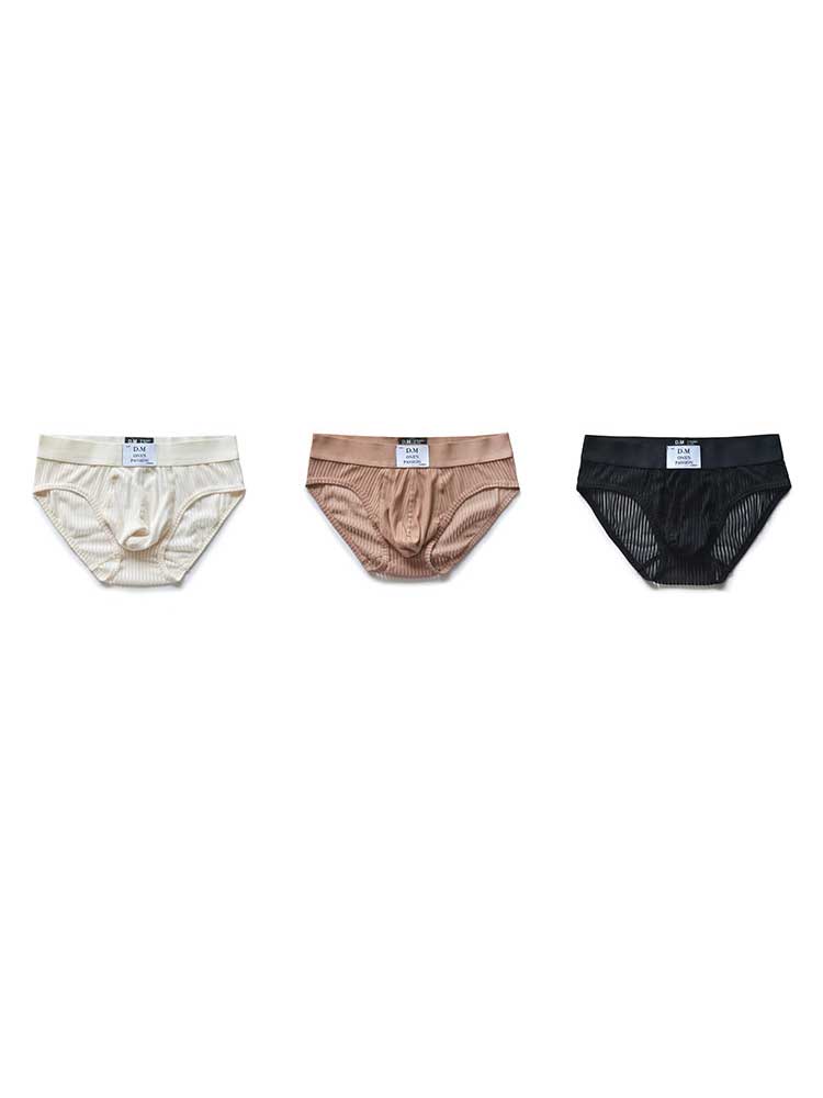 D.M Men's Sexy Low-Rise Mesh Breathable Briefs