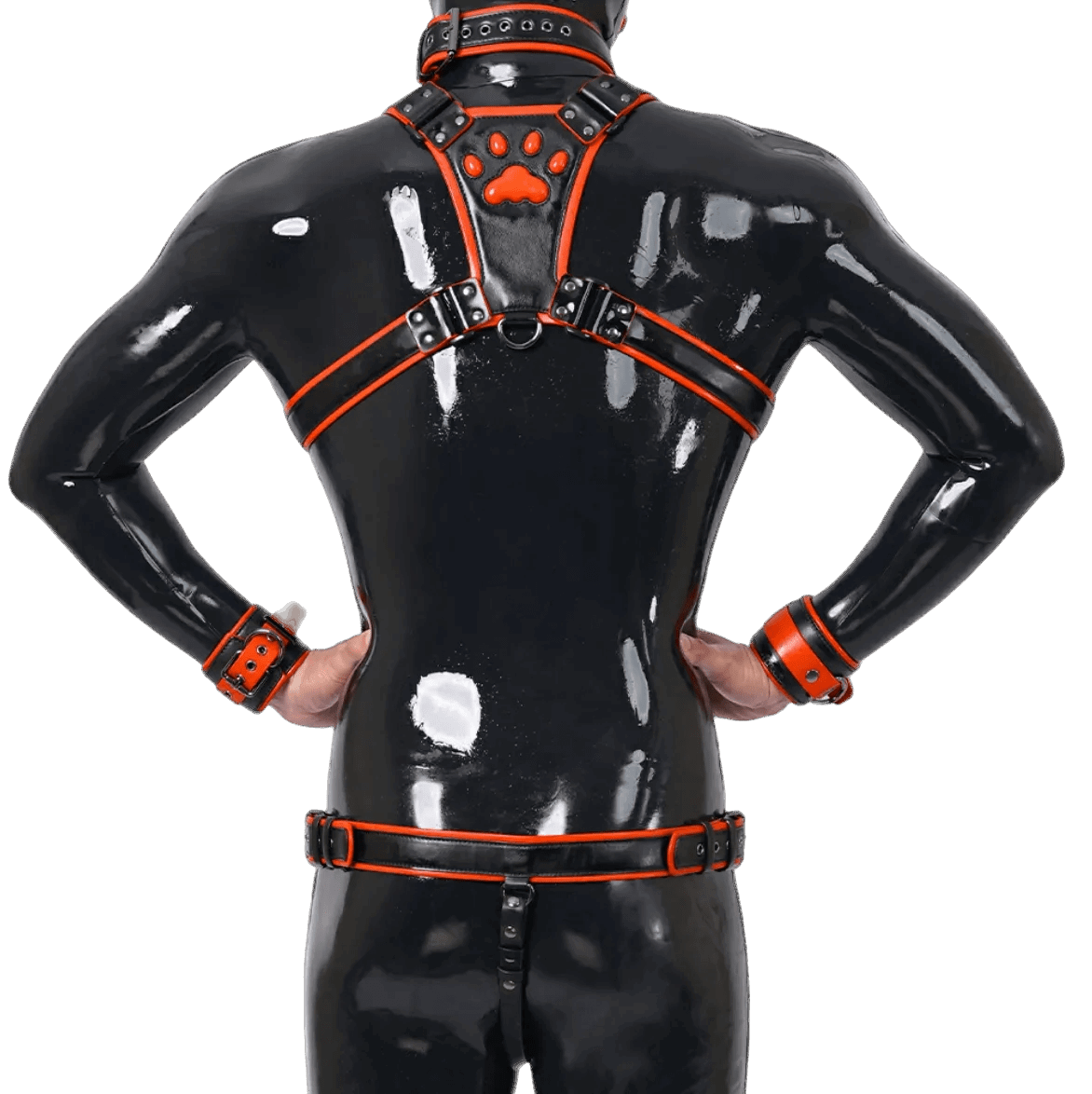 Furrjoi Harness, Cuff, Collar, Lead Underwear Bundle Orange