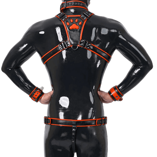 Furrjoi Harness, Cuff, Collar, Lead Underwear Bundle Orange