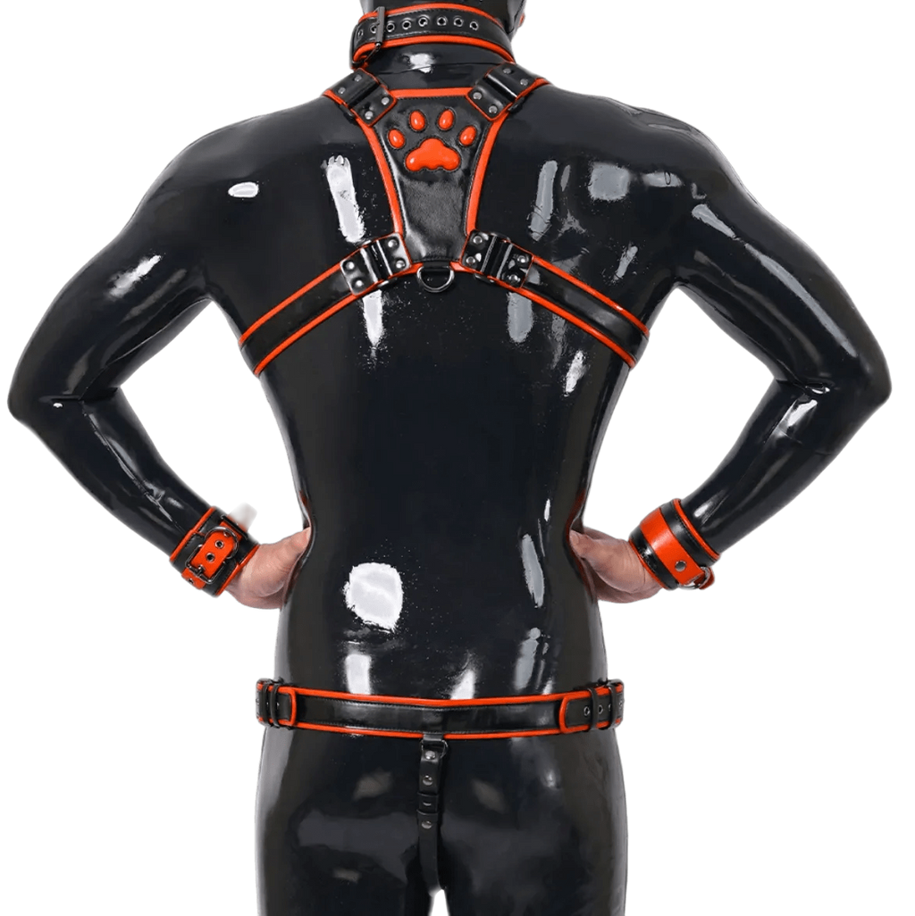 Furrjoi Harness, Cuff, Collar, Lead Underwear Bundle Orange