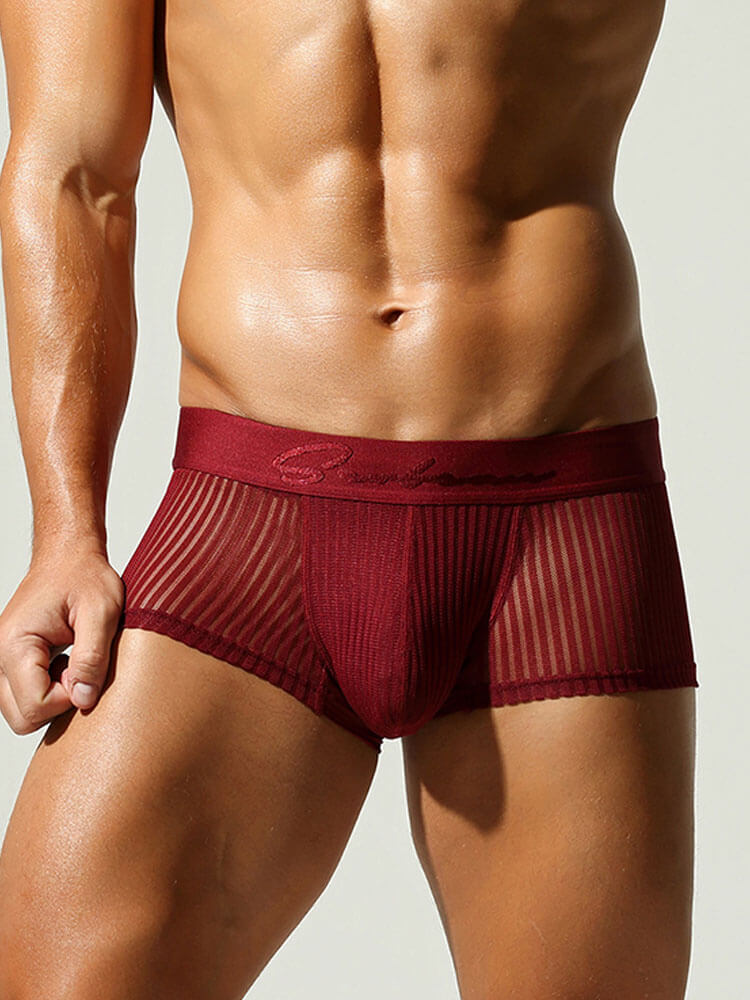 Men's Sexy See-Through Low-Rise Boxer Briefs