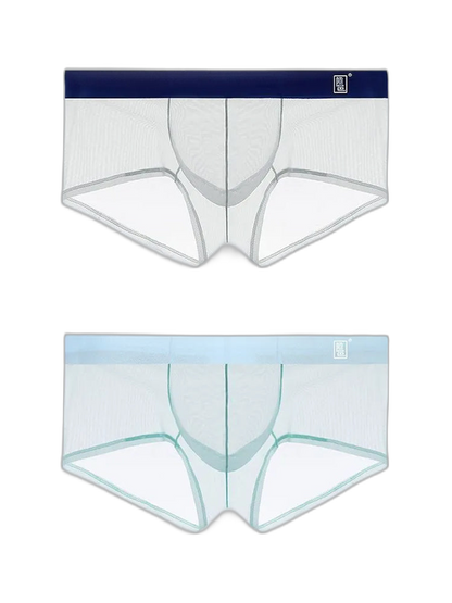 Men's Ultra-thin Low-Rise See-Through Ice Silk Briefs