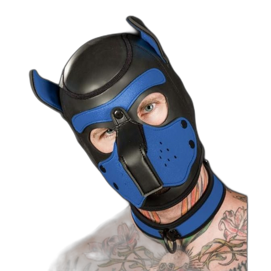 Mr S Leather Neoprene K9 Puppy Hood | Black/Royal Blue