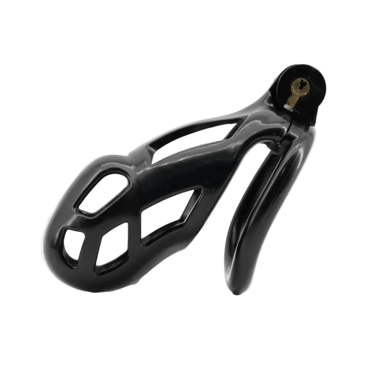 Chastity Cage BDSM Black - The Pup Play Hub