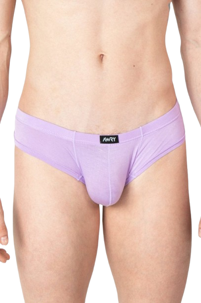 CHEEKY Thong Briefs - Lavender