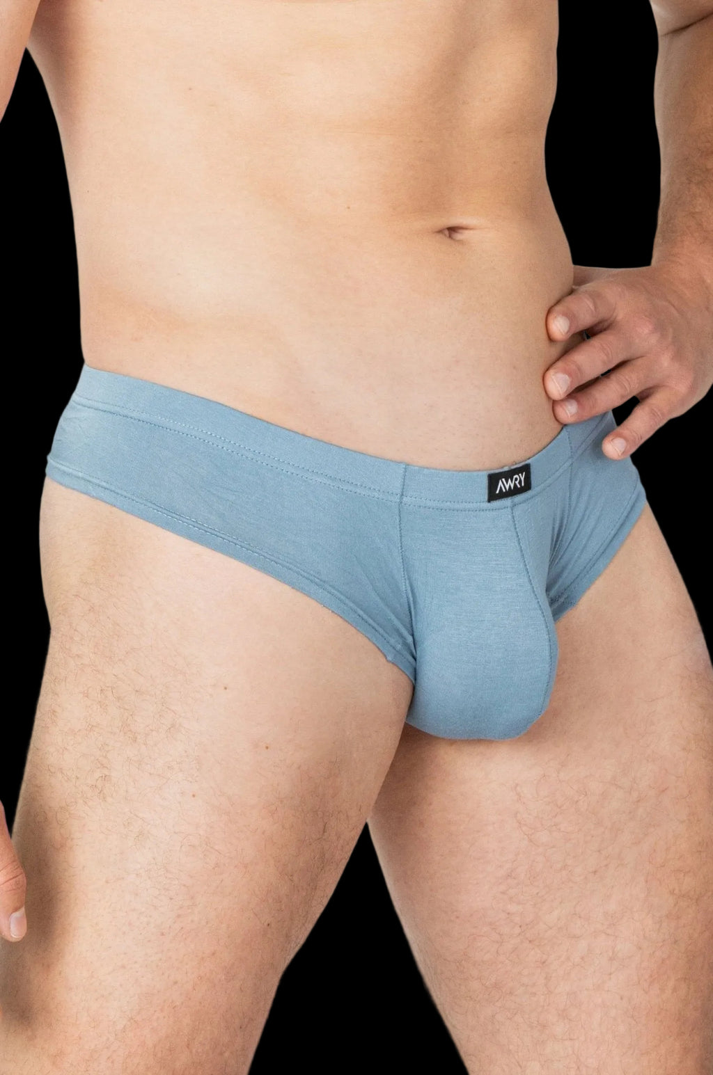 CHEEKY Thong Briefs - Smoky Blue