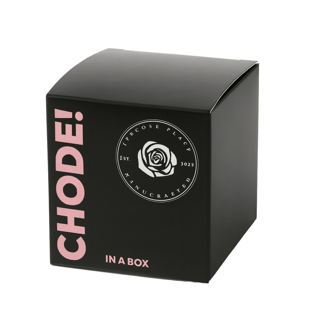 Chode in a Box Pumpkin Spice Chode Orange Candle - The Pup Play Hub
