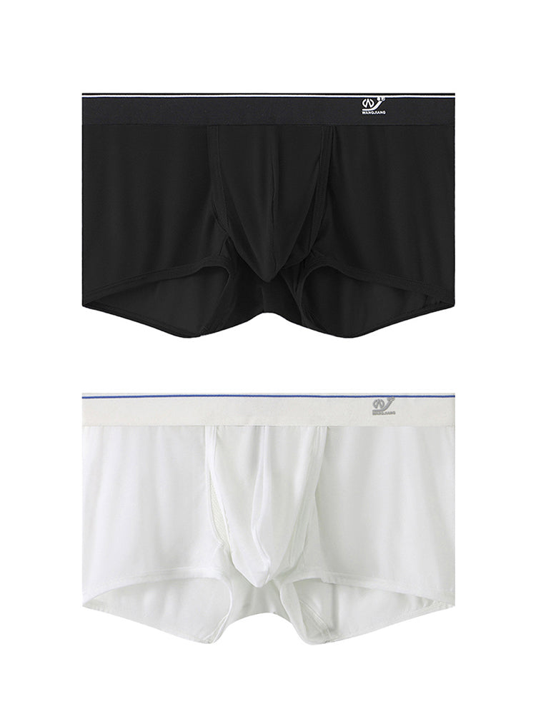 2 Pack Men's Breathable Mesh Trunks with Fly