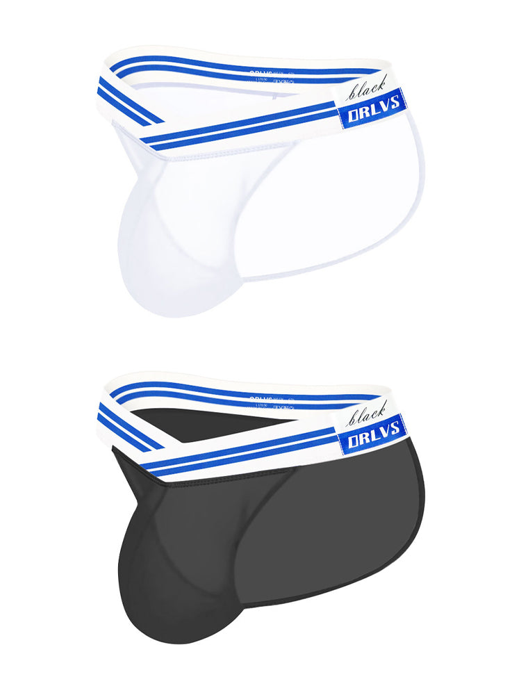 2-pack Men's Sexy Semi-transparent Mesh Briefs